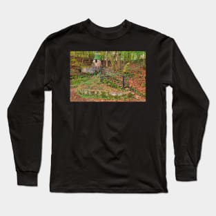 Rock Island Castle Tower Long Sleeve T-Shirt